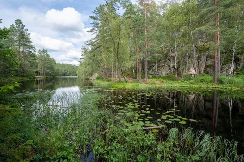 Solbergvann