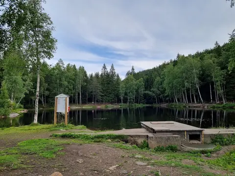 Isdammen, Årvoll