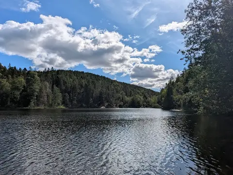 Skraperudtjern