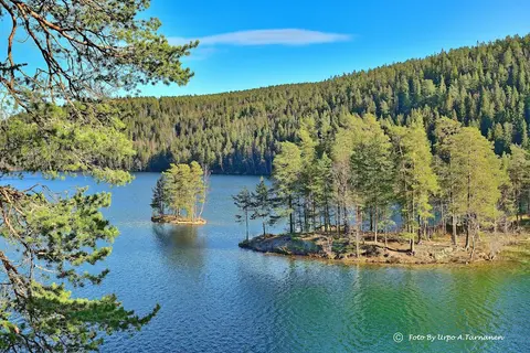 Lutvann