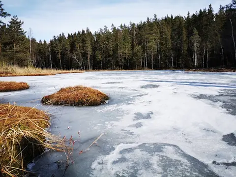 Trollvann