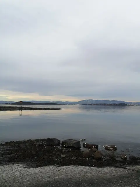 Solvik