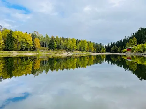 Trollvann