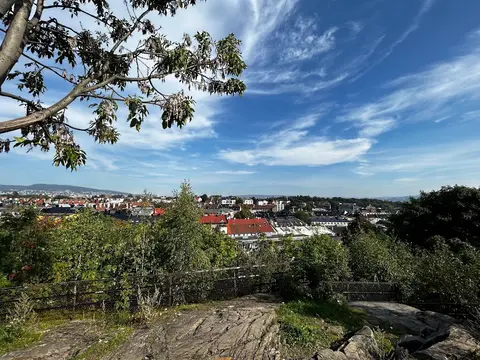 Blåsen