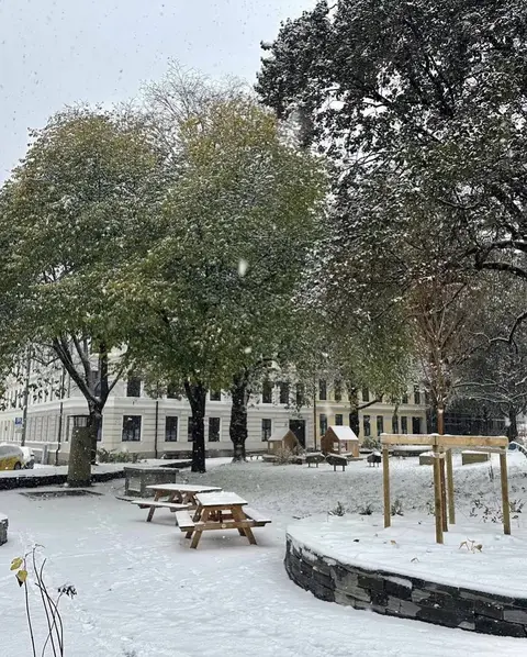 Håkons gate friområde