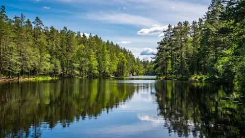 Solbergvann