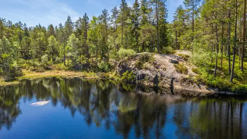 Tømmerholtjern