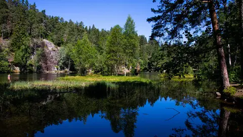 Båntjern
