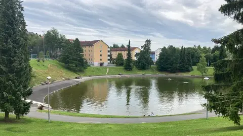 Årvolldammen