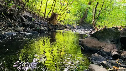 Frognerbekkdalen