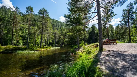 Strømsdammen