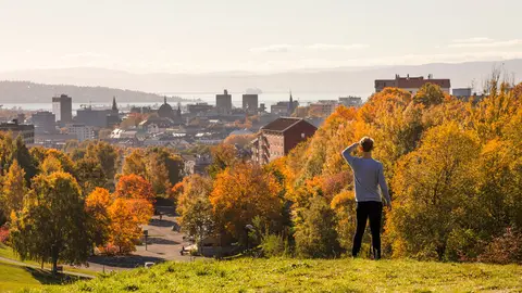 Torshovdalen