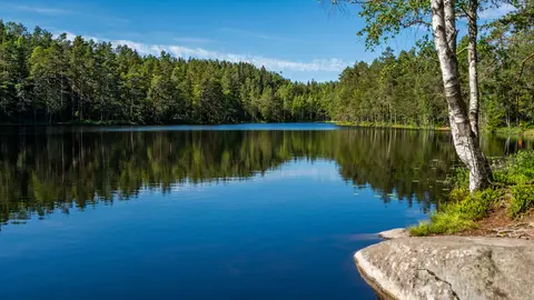 Smalvann