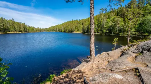 Eriksvann