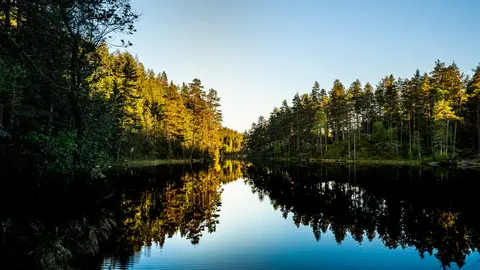 Langvann