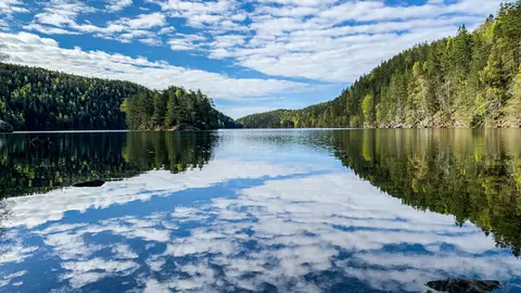 Lutvann