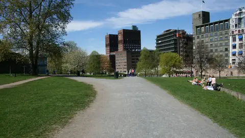 Kontraskjæret