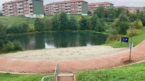 Bjerkedalen