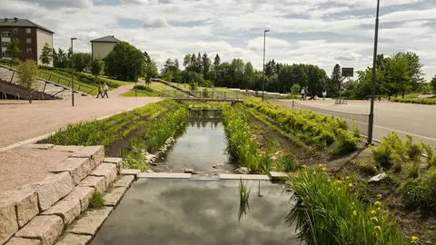 Bjerkedalen