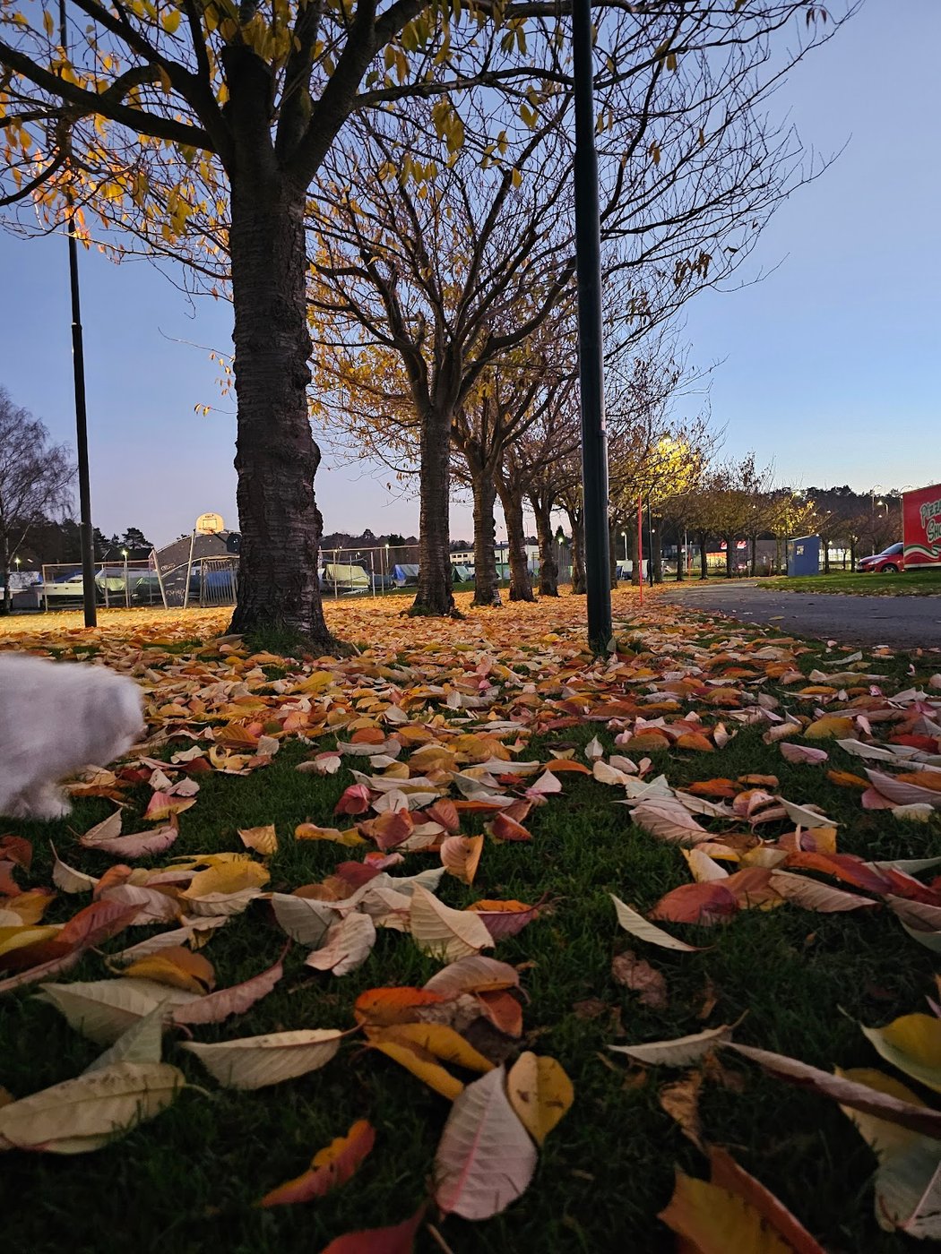 Auglandsbukta lekeplass