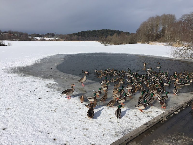 Østensjøvannet/Eterveien